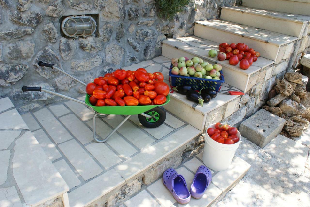 Three Oranges Trsteno Exterior foto
