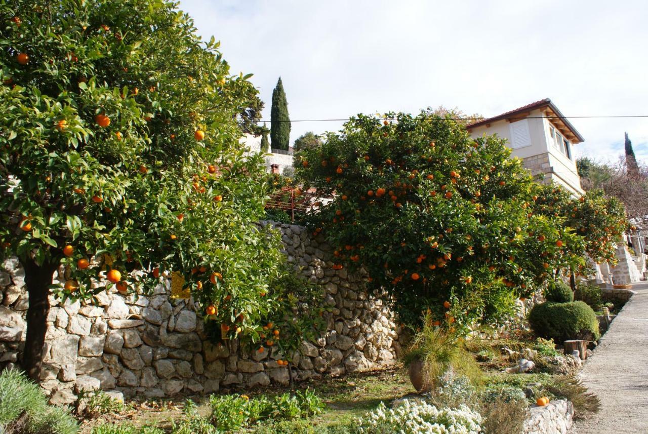 Three Oranges Trsteno Exterior foto