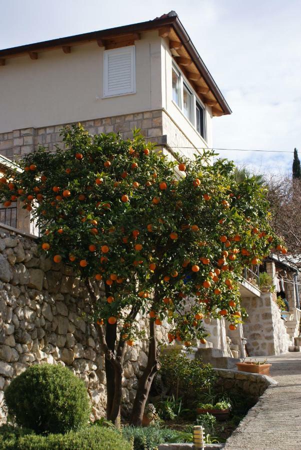 Three Oranges Trsteno Exterior foto