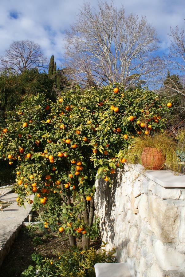 Three Oranges Trsteno Exterior foto